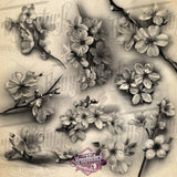 60 Realistic Cherry Blossom Tattoo Procreate Brushes
