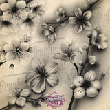 60 Realistic Cherry Blossom Tattoo Procreate Brushes