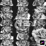37 Chicano Realistic Roses Tattoo Procreate Brushes for iPad