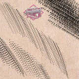 10 Tattoo Whip Shading Brushes for Procreate application on iPad and iPad pro