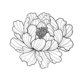 36 Peony Tattoo Procreate brushes for iPAd and iPAd pro by Brushesctock