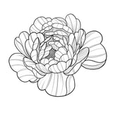36 Peony Tattoo Procreate brushes for iPAd and iPAd pro by Brushesctock