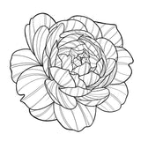 36 Peony Tattoo Procreate brushes for iPAd and iPAd pro by Brushesctock