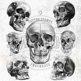 100 Skull Tattoo Brushes for Procreate application on iPad and iPad pro by Brushestock