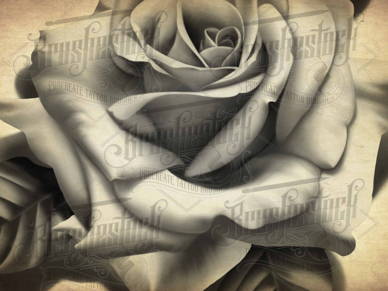 52 Black and Grey Roses Chicano Tattoo and Stencils Procreate Brushes for iPad and iPad pro by Brushestock