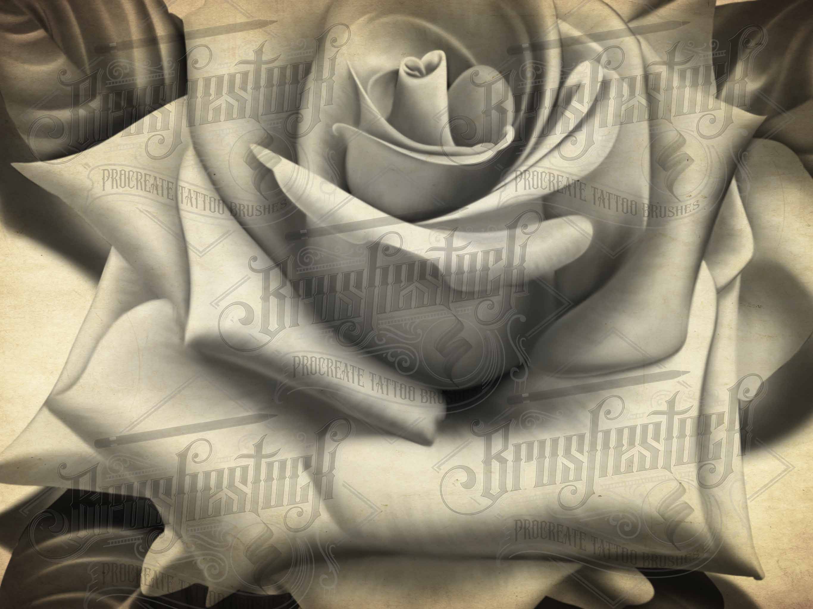 52 Black And Grey Roses Chicano Tattoo And Stencils Procreate Brushes For Ipad And Ipad Pro