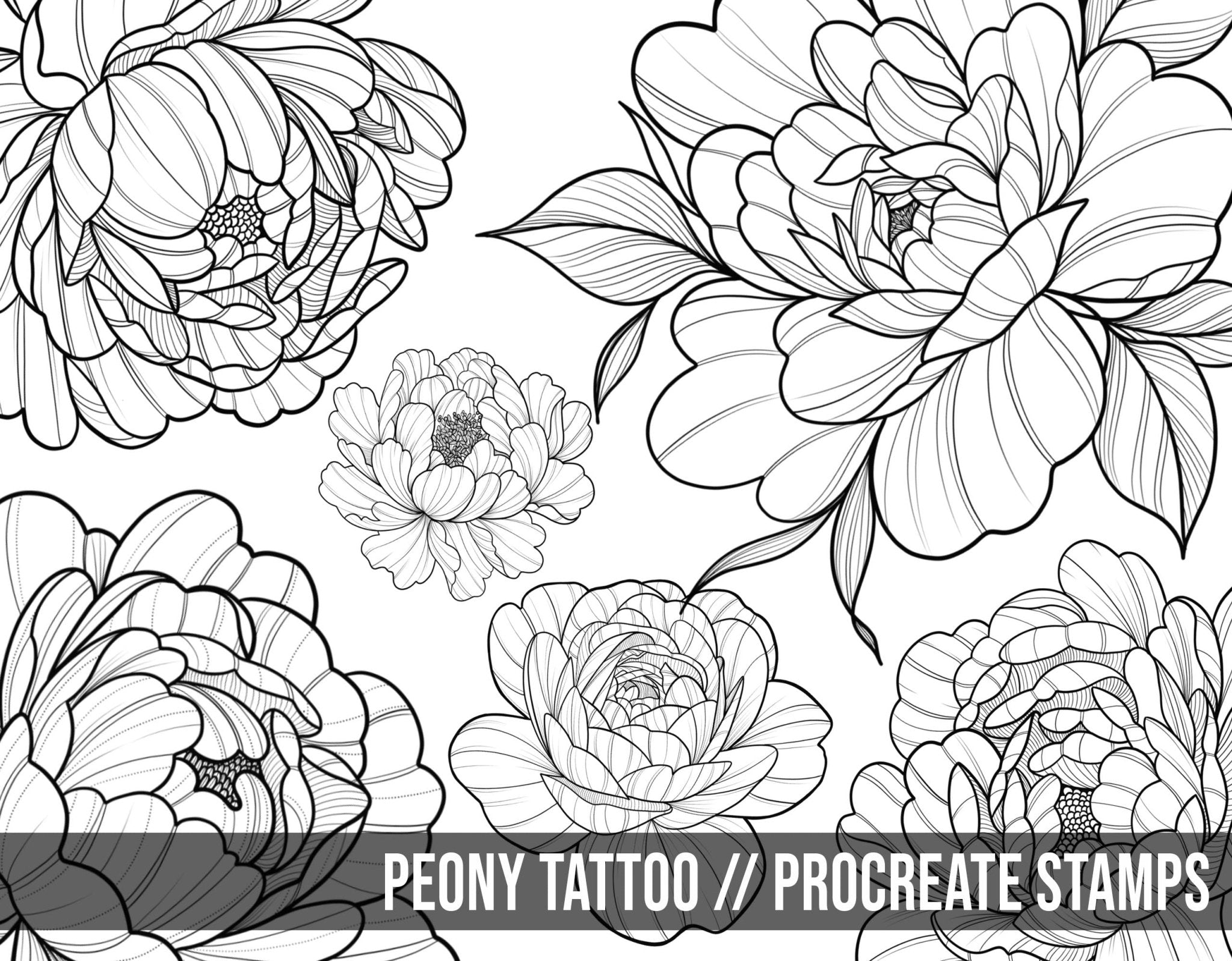 36 Peony Tattoo Brushes & Stamps for Procreate application – Brushestock