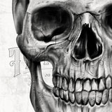 100 Skull Tattoo Brushes for Procreate application on iPad and iPad pro by Brushestock
